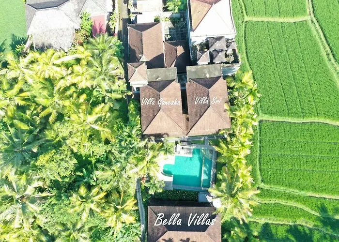 Bella 别墅