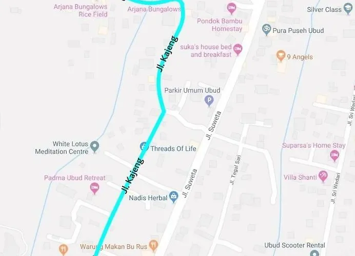 Bella 别墅 乌布